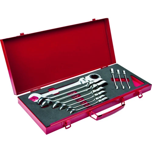 Pro-Auto 10件套装弹性锁齿轮扳手套件 FLG-10S